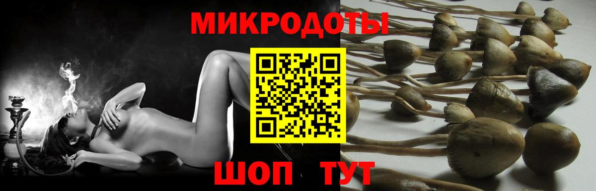 Псилоцибиновые грибы ЛСД  Псилоцибиновые грибы мицелий  Берёзовский  Вход с VPN 
