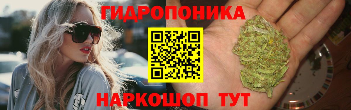 Берёзовский  Канабис Bruce Banner  Марихуана сатива  Вход с VPN 